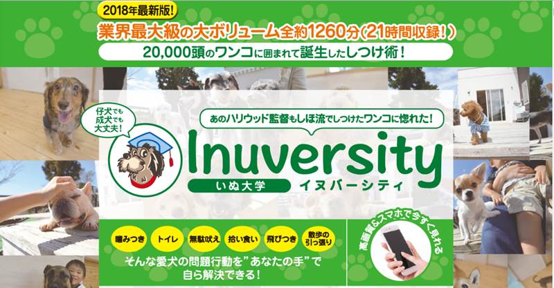 イヌバーシティ いぬ大学 愛犬しつけに悩まない みけこのブログ