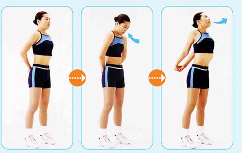 ガッテン 1日数回 超簡単 肺ストレッチ 肩こり 冷え性を改善 4月11日 ｎｈｋ エンタメライフ