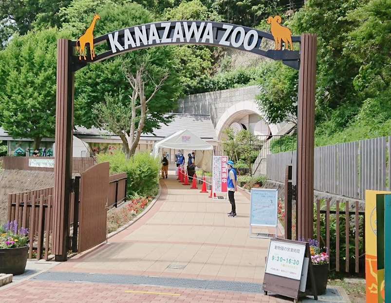 金沢動物園 再開後 6月11日以降 の営業時間や料金およびアクセスやコロナ対策を紹介 エンタメライフ