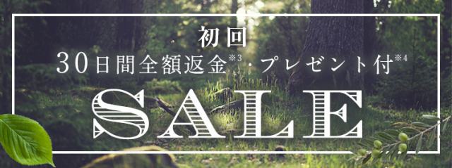 haru 公式サイト